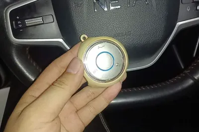 NETA V