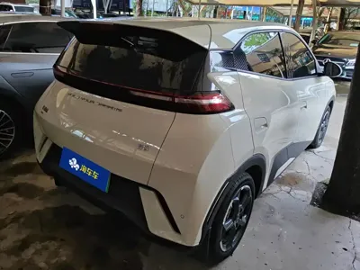BYD Seagull