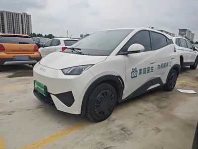 BYD Seagull