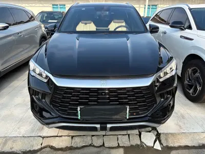 BYD Pro New Energy