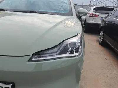 NETA Neta V