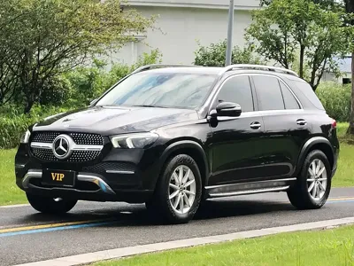 Mercedes-Benz 奔驰GLE(进口)