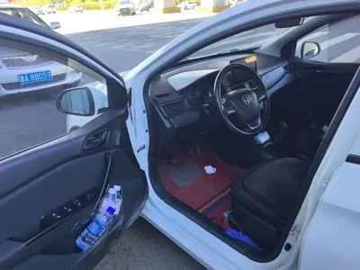 Baojun 310