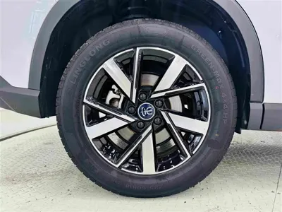 BYD Pro New Energy