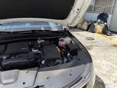 BYD Destroyer 05