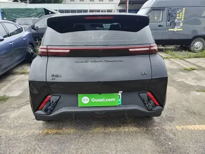 BYD Seagull