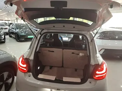Wuling Bingo