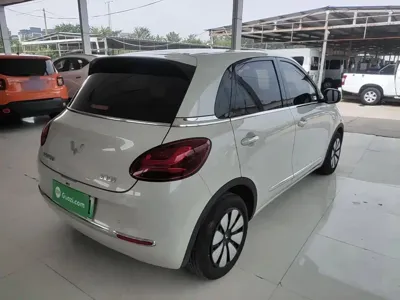 Wuling Bingo