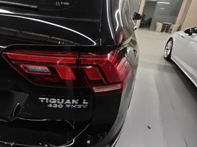 Volkswagen Tiguan L New Energy
