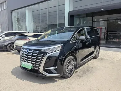 Denza Denza D9