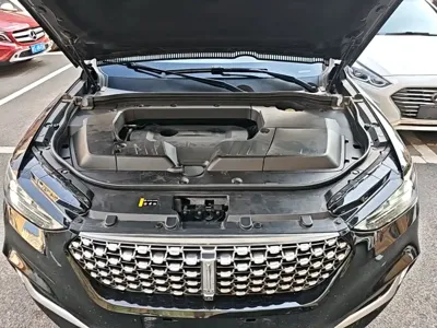 WEY Wey VV6