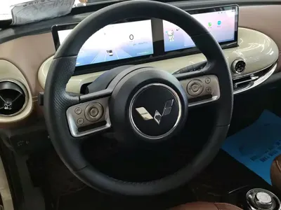 Wuling Bingo