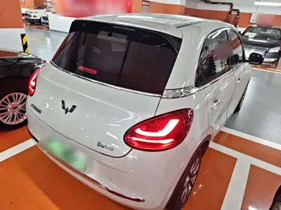 Wuling Bingo
