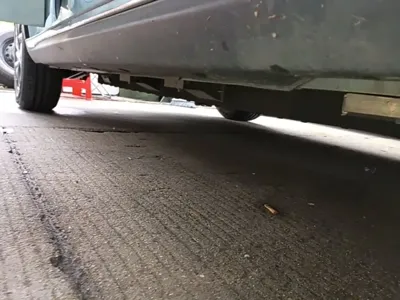NETA Neta V