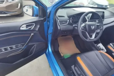 Baojun 310
