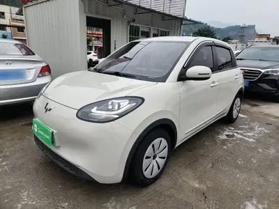 Wuling Bingo