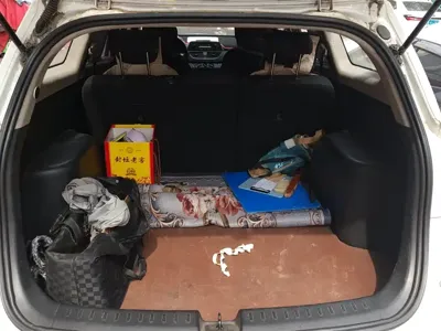 Baojun 310W