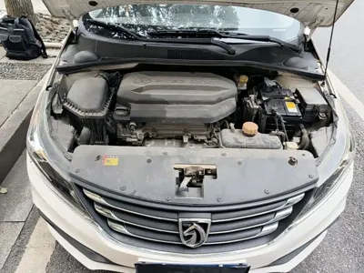 Baojun 310