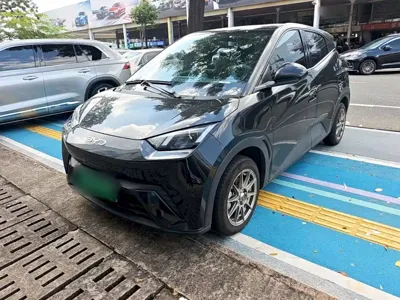 BYD Seagull
