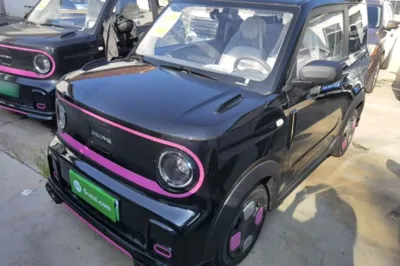 Geely Galaxy Panda