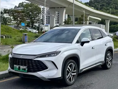 BYD L DM-i