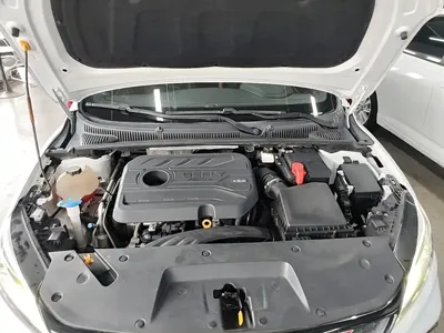Geely Binrui