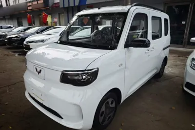 Wuling Zhiguang New Energy