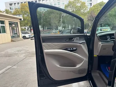 Denza Denza D9