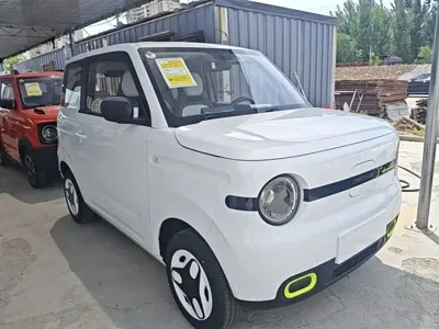 Galaxy Panda