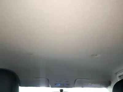 ORA Ora White Cat