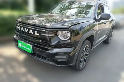 Haval H Dog New Energy