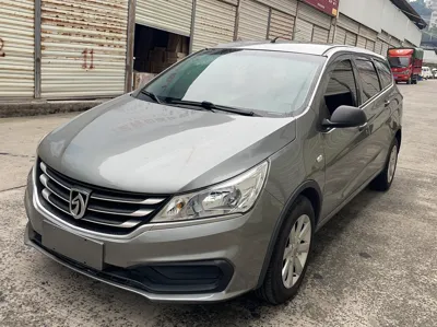 Baojun 310W