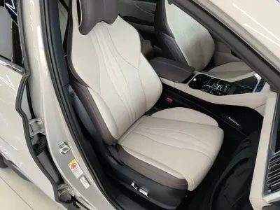 BYD PLUS New Energy