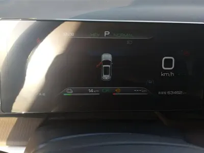 BYD Pro New Energy