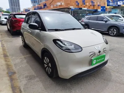 Wuling Bingo