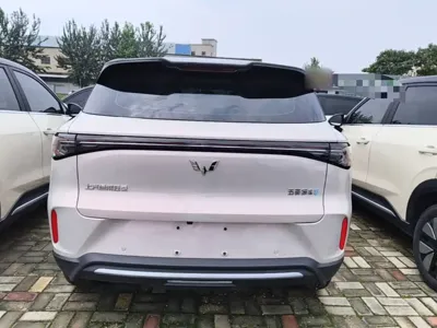 Wuling 缤果S