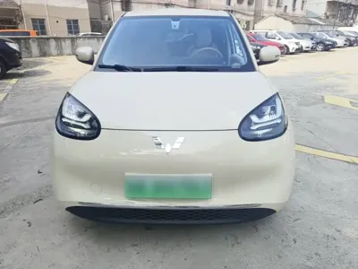 Wuling Bingo