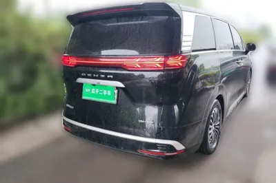 Denza D9