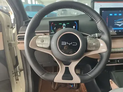 BYD Seagull