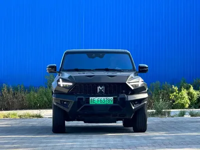 Mengshi Mengshi 917