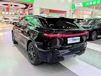 Voyah Zhiyin