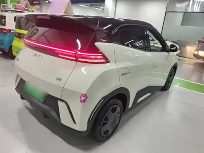 BYD Seagull