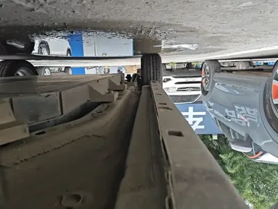 NETA Neta V