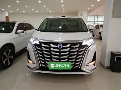 Denza Denza D9