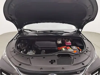 BYD Tang New Energy