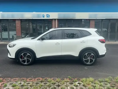 MG Pilot