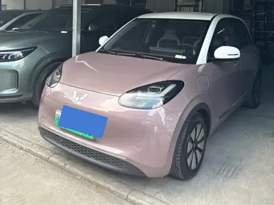 Wuling Bingo