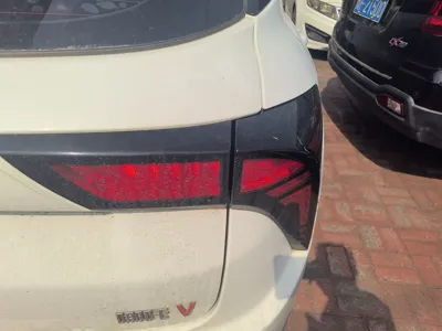 NETA V