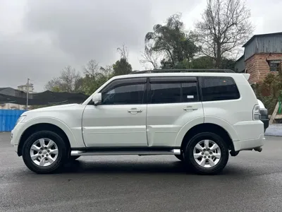 Mitsubishi Pajero (Import)