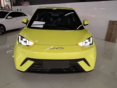 BYD Seagull